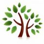 NIFSA Forest schools