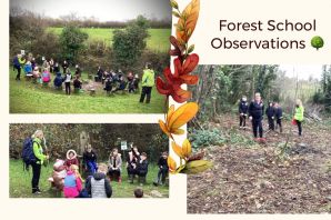 Forest School Observations 🌳