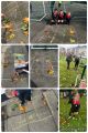 Exploring Frequency Tables in Nature